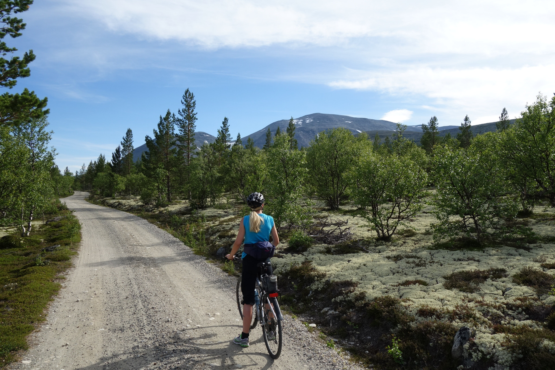 Sykle i fjellet